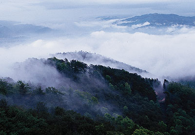 高黎贡山