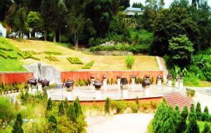 茶文化风景园