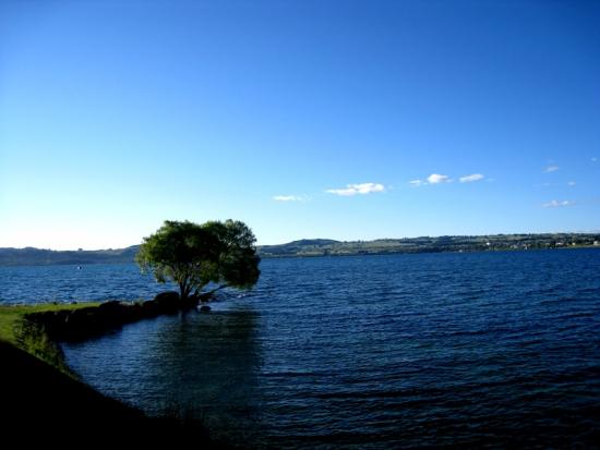 陶波湖（Lake Taupo）