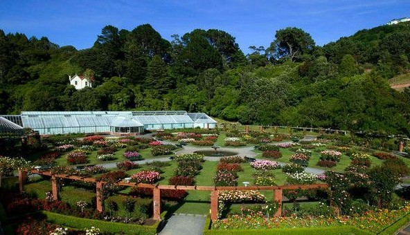 奥塔里植物园（Otari Botanical Gardens）