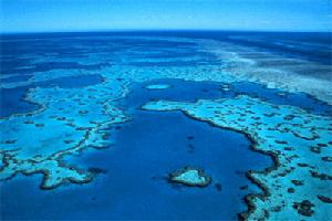 大堡礁(Great Barrier Reef)