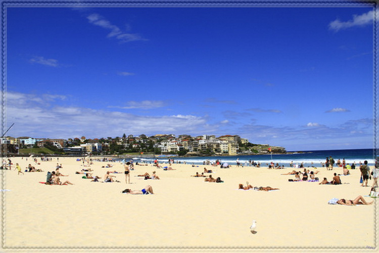 邦迪海滩（Bondi Beach）