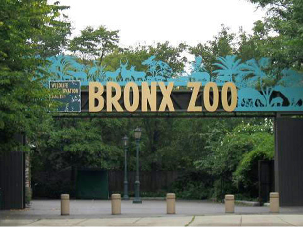 布朗克斯动物园（Bronx Zoo）