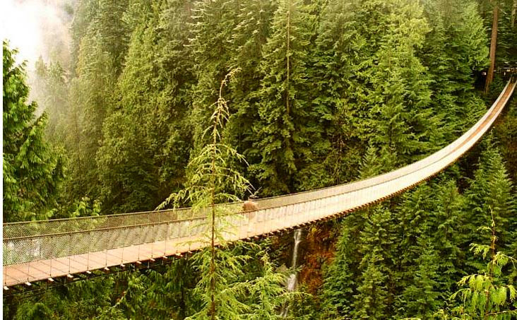 卡皮拉诺吊桥公园（Capilano Suspension Bridge）