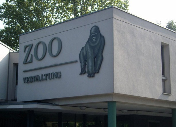 苏黎世动物园（zurich zoo）