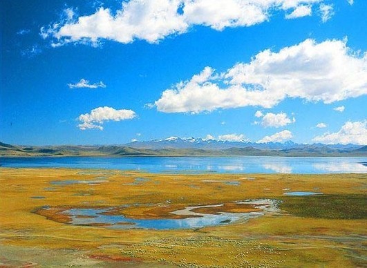 哲古湖