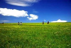 空中草原甸子梁