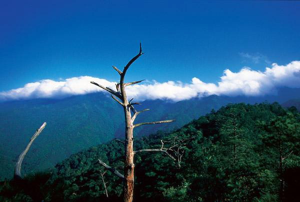 十万大山