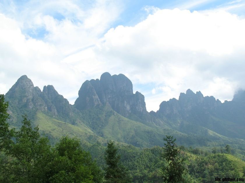 金秀五指山