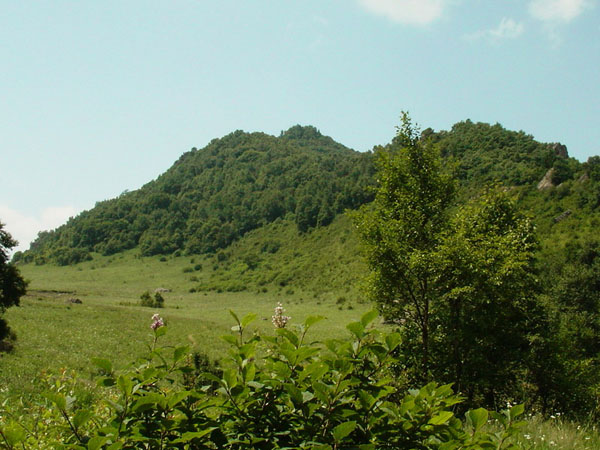 百花山