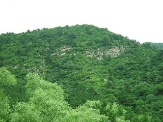 松山