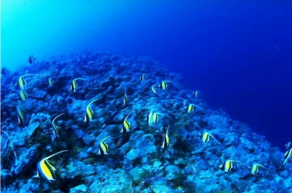 新加坡海底世界（Underwater World of Singapore）