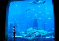 泰国水族馆