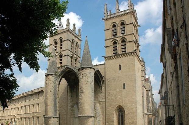 圣皮埃尔大教堂（Cathédrale St. Pierre）