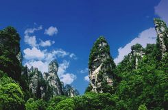 杨家界