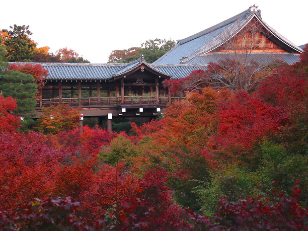 东福寺（East lucky temple）