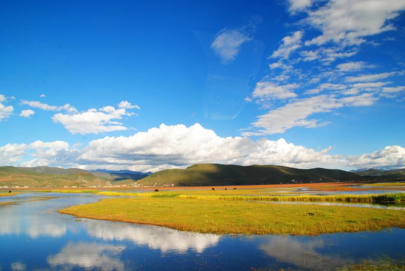 香格里拉纳帕海