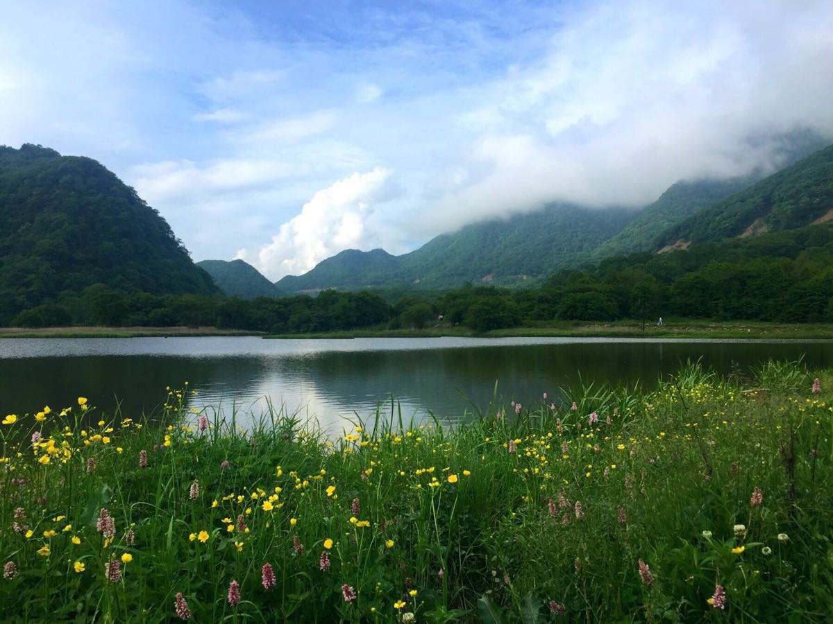 湖北大九湖国家湿地公园