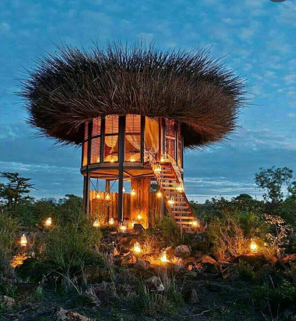非洲草原最野性的肯尼亚鸟巢酒店