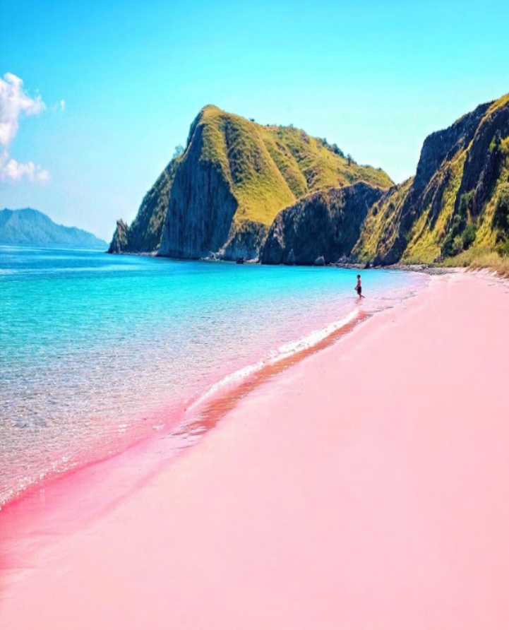 巴厘岛-科莫多粉沙滩