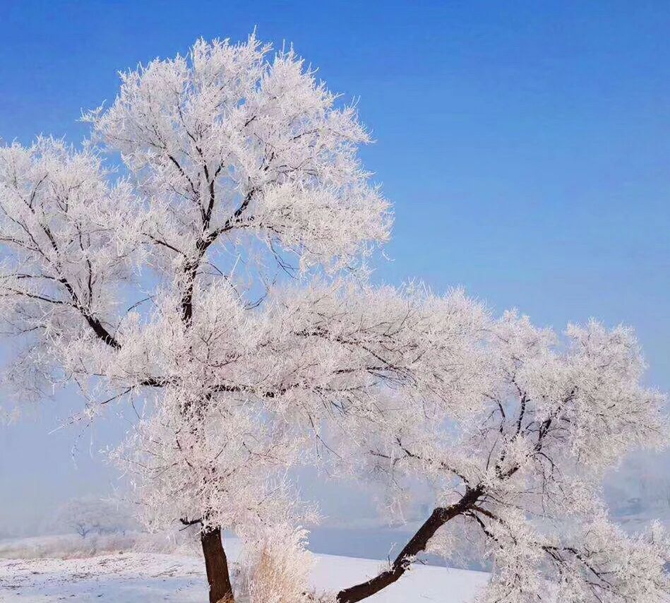 第一次去东北旅游须知及注意事项